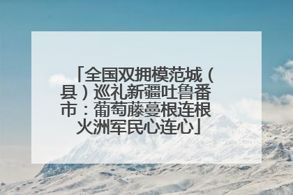 全国双拥模范城（县）巡礼新疆吐鲁番市：葡萄藤蔓根连根 火洲军民心连心