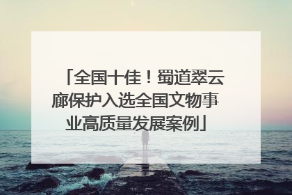 全国十佳！蜀道翠云廊保护入选全国文物事业高质量发展案例