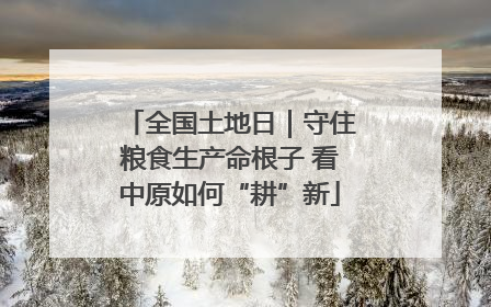 全国土地日｜守住粮食生产命根子 看中原如何“耕”新