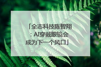 全志科技陈智翔：AI穿戴眼镜会成为下一个风口