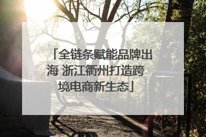 全链条赋能品牌出海 浙江衢州打造跨境电商新生态