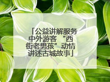 公益讲解服务中外游客 “西街老男孩”动情讲述古城故事