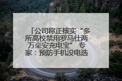 公司称正核实“多所高校禁用罗马仕两万毫安充电宝” 专家：预防手机没电选中等体积产品即可