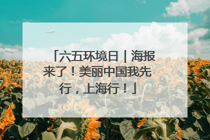 六五环境日｜海报来了！美丽中国我先行，上海行！