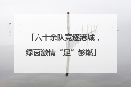 六十余队竞逐港城，绿茵激情“足”够燃