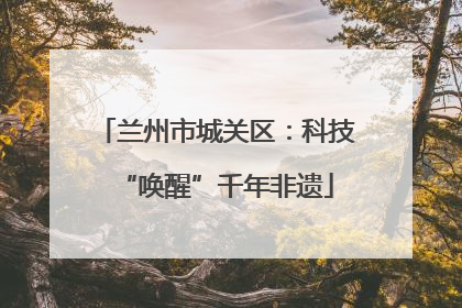 兰州市城关区：科技“唤醒”千年非遗