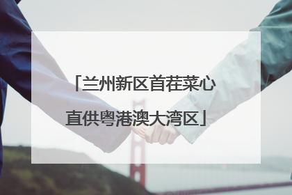 兰州新区首茬菜心直供粤港澳大湾区
