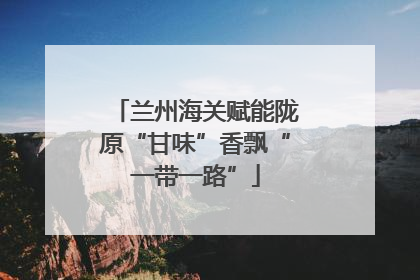兰州海关赋能陇原“甘味”香飘“一带一路”