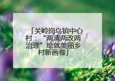 关岭岗乌镇中心村：“两清两改两治理”绘就美丽乡村新画卷