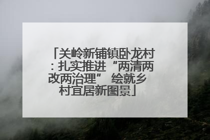 关岭新铺镇卧龙村：扎实推进“两清两改两治理” 绘就乡村宜居新图景