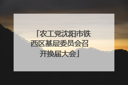 农工党沈阳市铁西区基层委员会召开换届大会