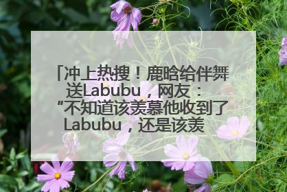 冲上热搜！鹿晗给伴舞送Labubu，网友：“不知道该羡慕他收到了Labubu，还是该羡慕鹿晗送他礼物”
