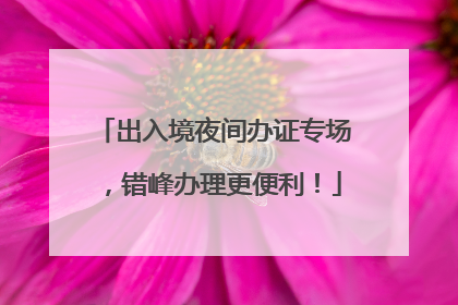出入境夜间办证专场,错峰办理更便利!