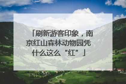 刷新游客印象，南京红山森林动物园凭什么这么“红”