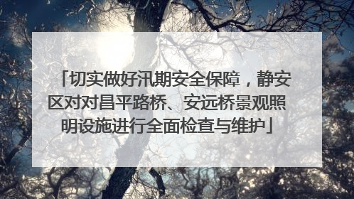 切实做好汛期安全保障，静安区对对昌平路桥、安远桥景观照明设施进行全面检查与维护