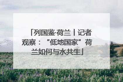 列国鉴·荷兰丨记者观察：“低地国家”荷兰如何与水共生