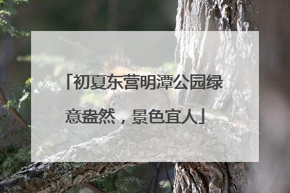 初夏东营明潭公园绿意盎然，景色宜人
