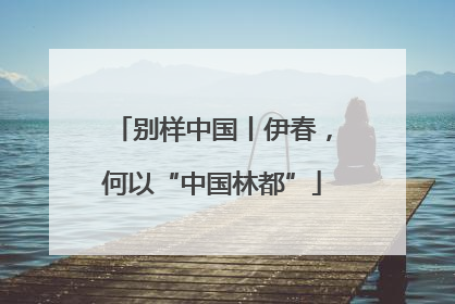 别样中国丨伊春，何以“中国林都”