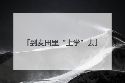 到麦田里“上学”去