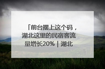 前台摆上这个码，湖北这里的民宿客流量增长20%｜湖北市场监管所的故事