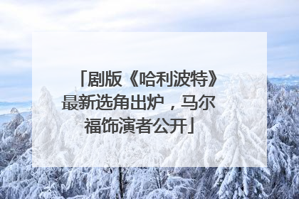 剧版《哈利波特》最新选角出炉，马尔福饰演者公开