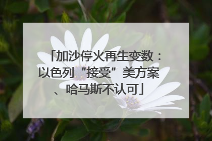 加沙停火再生变数：以色列“接受”美方案、哈马斯不认可