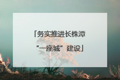 务实推进长株潭“一座城”建设