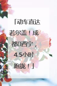 动车直达若尔盖！成都⇄西宁，4.5小时跑拢！