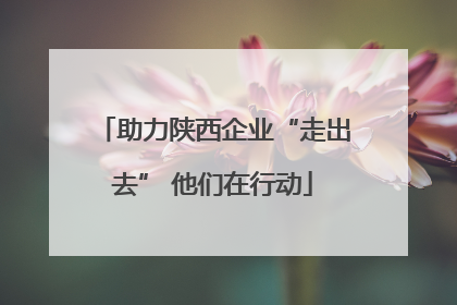 助力陕西企业“走出去” 他们在行动