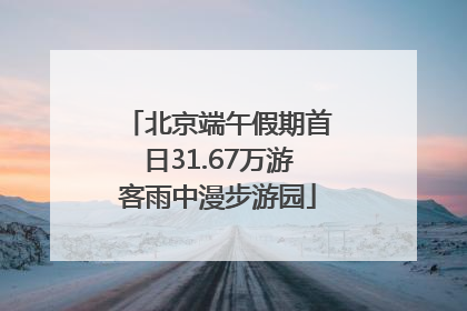 北京端午假期首日31.67万游客雨中漫步游园