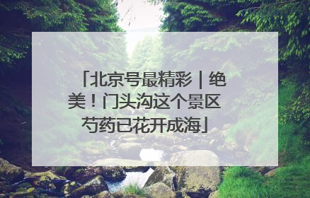 北京号最精彩｜绝美！门头沟这个景区芍药已花开成海
