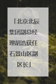 北京北辰集团副总经理胡浩获任石景山区副区长