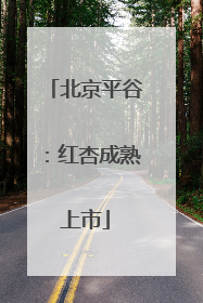 北京平谷：红杏成熟上市
