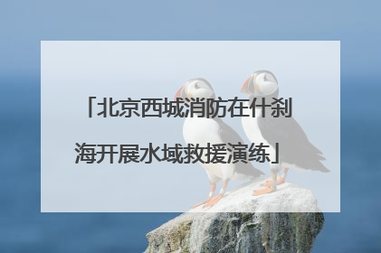 北京西城消防在什刹海开展水域救援演练