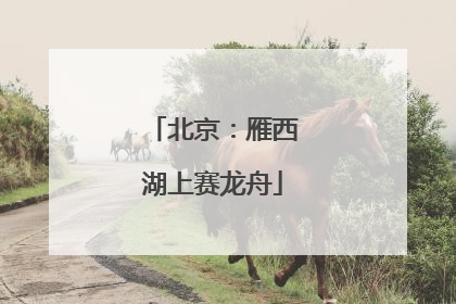 北京：雁西湖上赛龙舟