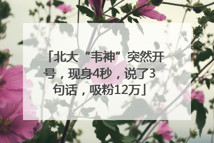 北大“韦神”突然开号，现身4秒，说了3句话，吸粉12万