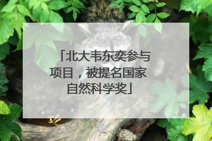 北大韦东奕参与项目，被提名国家自然科学奖