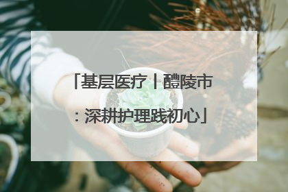 基层医疗丨醴陵市：深耕护理践初心