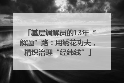 基层调解员的13年“解题”路：用绣花功夫，精织治理“经纬线”