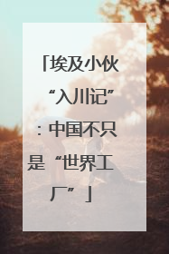 埃及小伙“入川记”：中国不只是“世界工厂”
