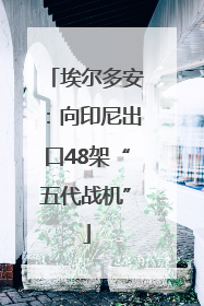 埃尔多安：向印尼出口48架“五代战机”
