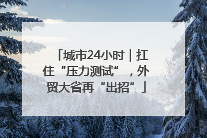 城市24小时｜扛住“压力测试”，外贸大省再“出招”