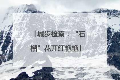 城步检察：“石榴”花开红艳艳