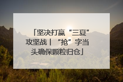 坚决打赢“三夏”攻坚战丨“抢”字当头确保颗粒归仓