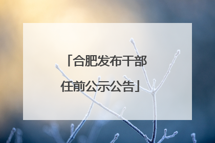 合肥发布干部任前公示公告