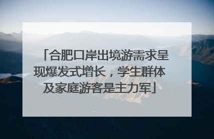合肥口岸出境游需求呈现爆发式增长，学生群体及家庭游客是主力军