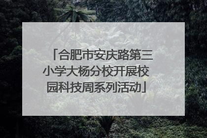 合肥市安庆路第三小学大杨分校开展校园科技周系列活动