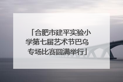 合肥市建平实验小学第七届艺术节巴乌专场比赛圆满举行