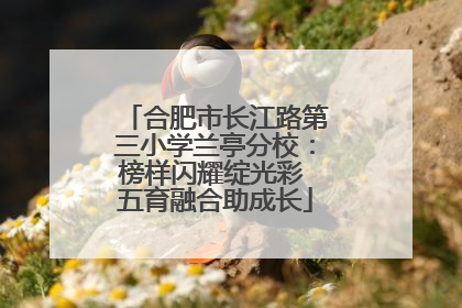 合肥市长江路第三小学兰亭分校：榜样闪耀绽光彩 五育融合助成长