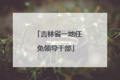 吉林省一地任免领导干部